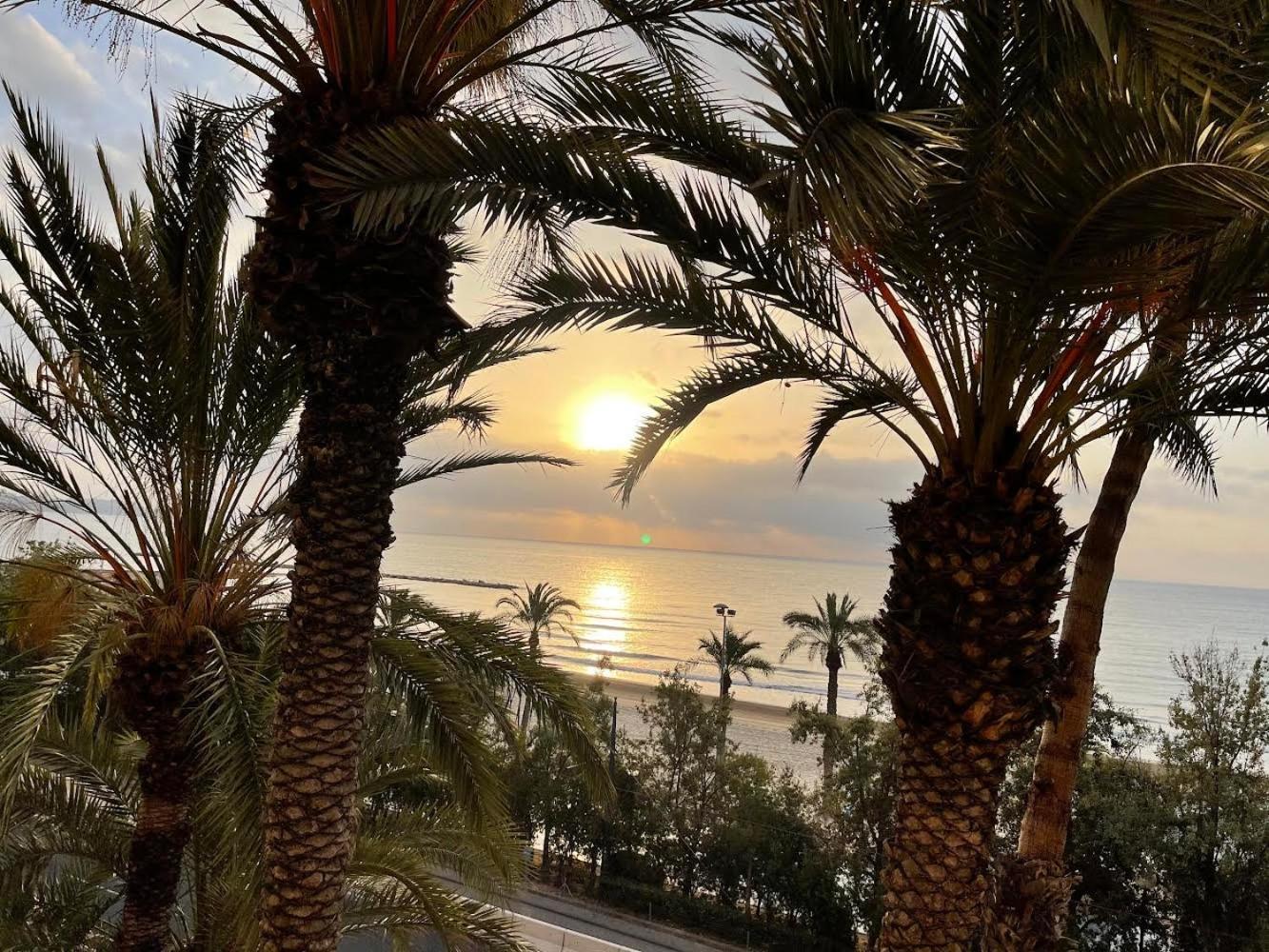 Gran Atico Con Terraza En El Centro De Alicante Exteriér fotografie
